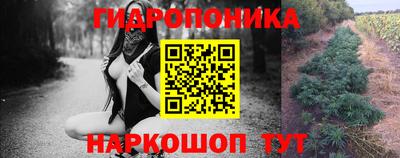 ГАЛЛЮЦИНОГЕННЫЕ ГРИБЫ Камышлов