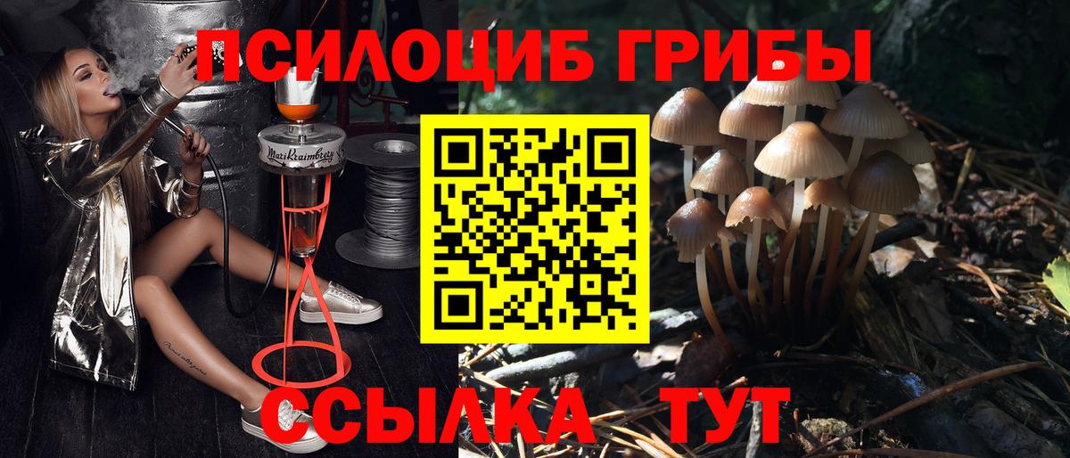 Кизляр  Галлюциногенные грибы мицелий  Вход с VPN 